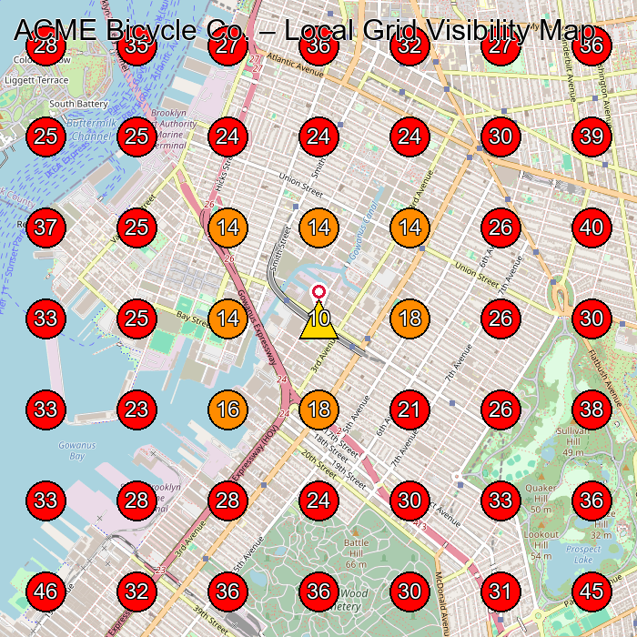 ACME Bicycle Co. GeoGrid visibility map for Bicycle Store in Brooklyn